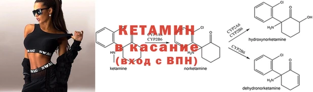 спиды Богородицк