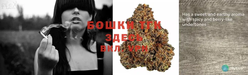 где можно купить наркотик  mega как зайти  Бошки марихуана SATIVA & INDICA  Кольчугино 